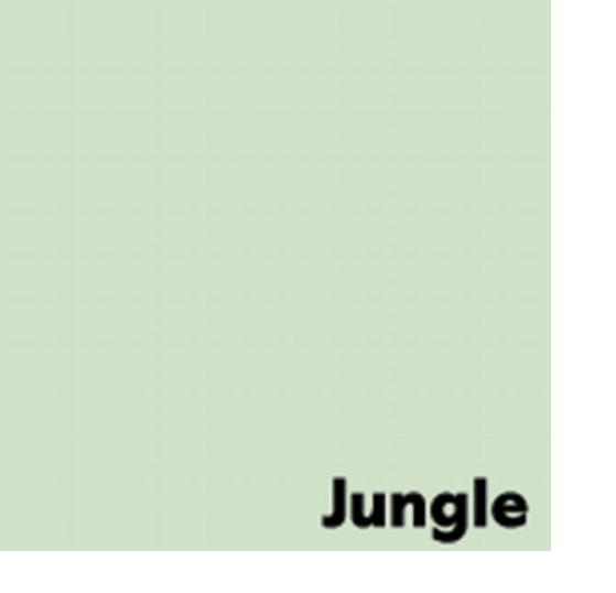 Spalvotas biuro popierius Image Coloraction Nr.61 Jungle A4 80g 500l. 1619085 - Image 2