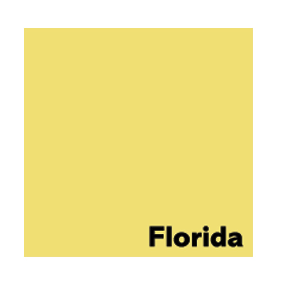 Spalvotas biuro popierius Image Coloraction Florida A4 80g 50l. 6151