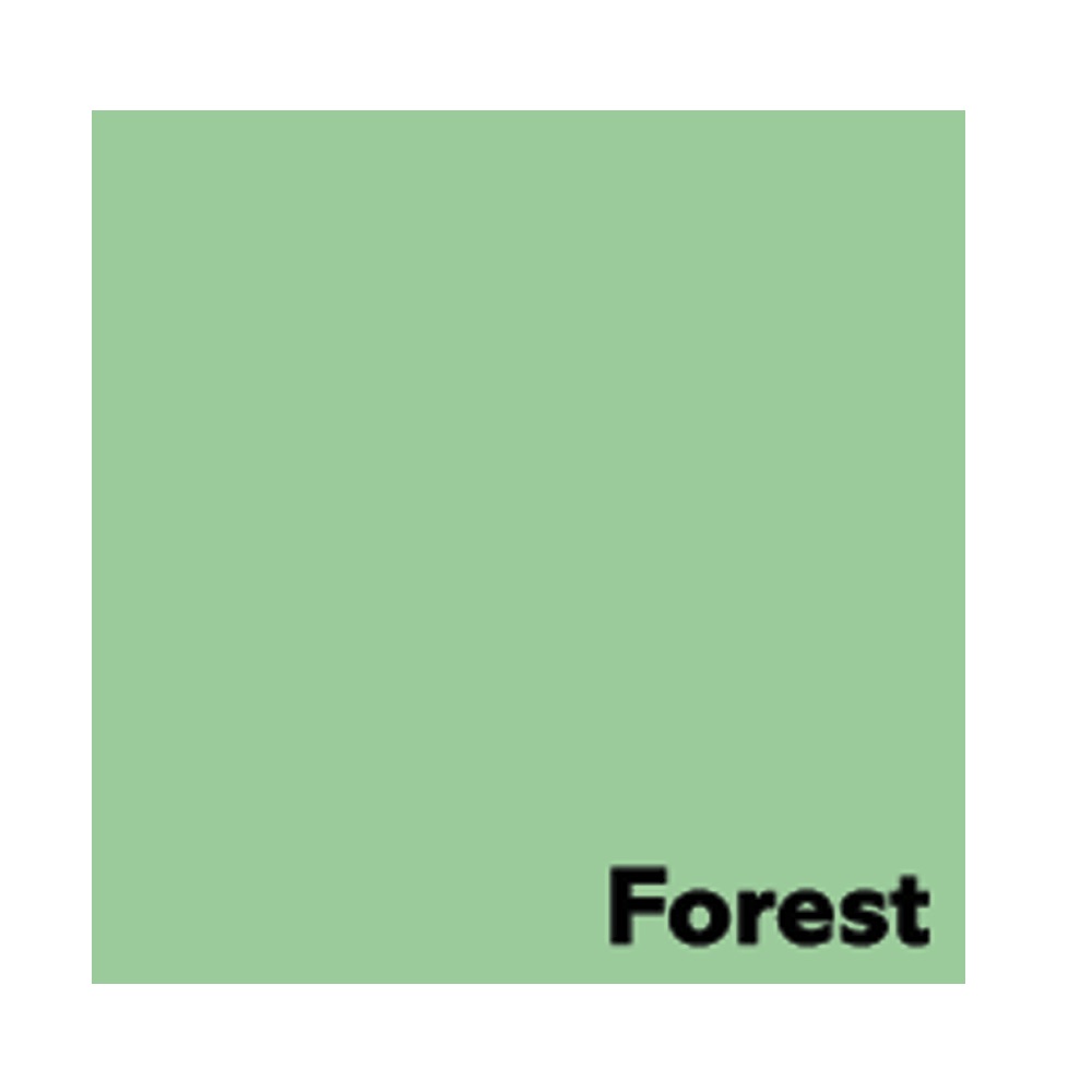 Spalvotas biuro popierius Image Coloraction Forest A4 80g 50l. 6161 - Image 2