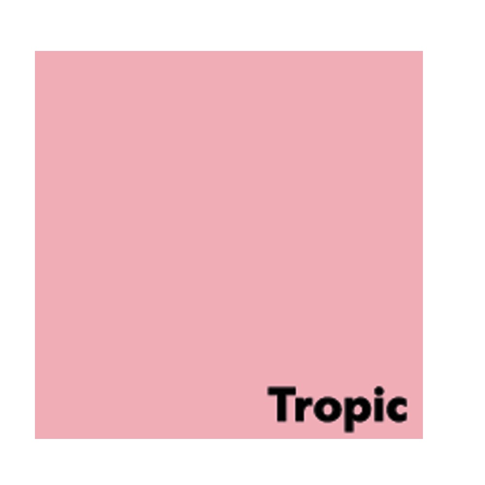 Spalvotas biuro popierius Image Coloraction Tropic A4 80g 50l. 6125