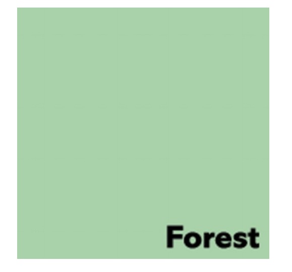 Spalvotas biuro popierius Image Coloraction Nr.65 Forest A4 160g 250l. 1619516 - Image 2