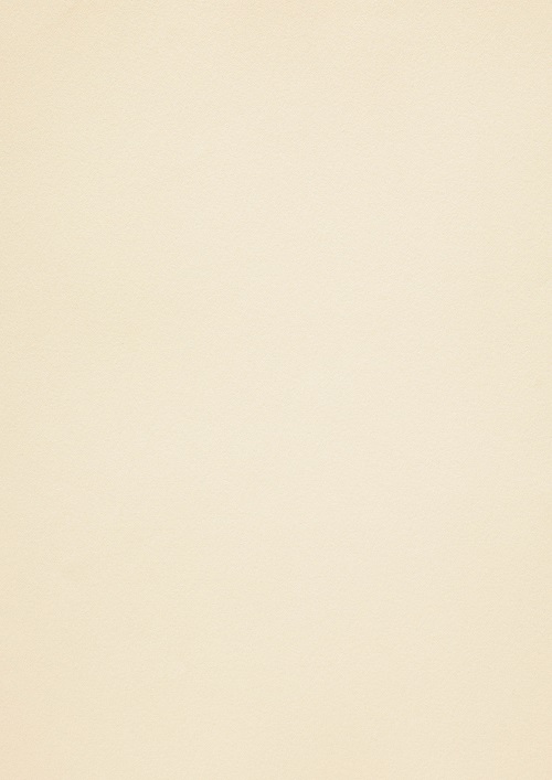 Dekoratyvinis popierius A4 120g White Gold 50 lapų Curious Collection 408160