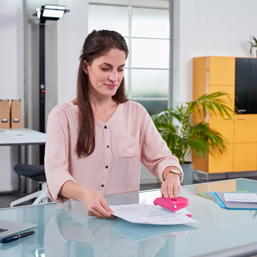 Skylamušis iki 16 lapų E 216 rožinės sp. Novus 025-0583 - Image 2