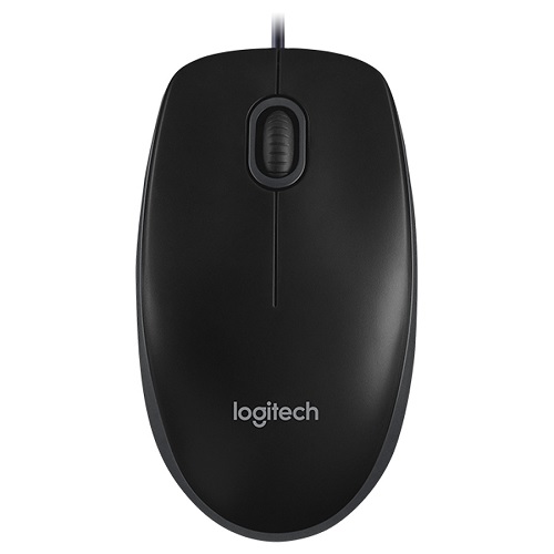 Pelė kompiuteriui optinė USB B100 Logitech