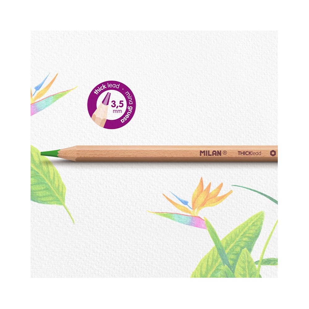 Spalvoti pieštukai 48 spalvų metalinėje dėžutėje Milan 0726148 - Image 4